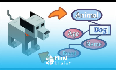 OOP Basics Learn Object Oriented Programming