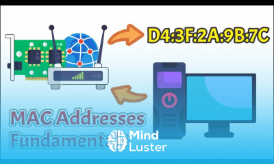MAC Addresses Explained Networking Basics