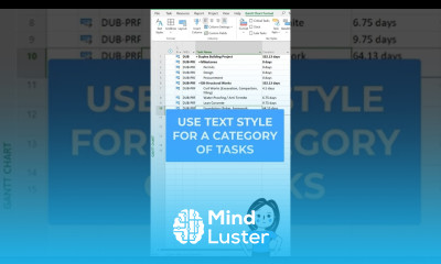 Use Text Style for a Category of tasks in MSP Microsoft Project