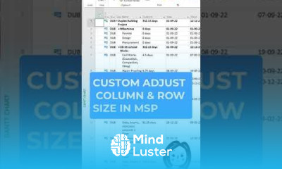 How to adjust column row size in MSP Microsoft Project