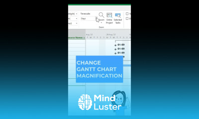 Change Magnification and set the zoom of Gantt Chart or timeline in MS Project Microsoft Project