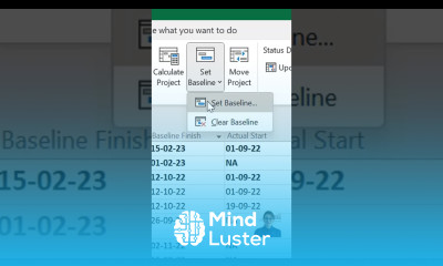 Here are 5 reasons why you should consider using MS Project for your projects