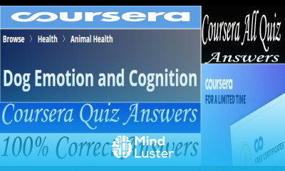 Dog Emotion and Cognition Coursera Quiz Answers Coursera All Quiz Answers
