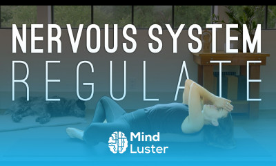 Regulate Your Nervous System 15 Minute Yoga Practice