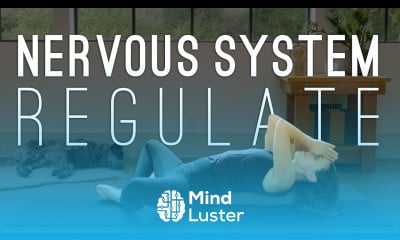 Regulate Your Nervous System 15 Minute Yoga Practice