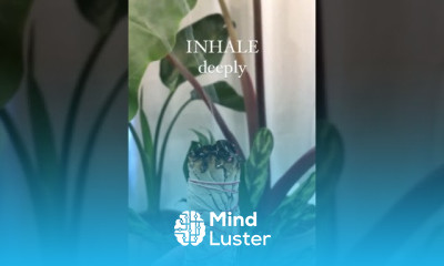 Virtual Self Care Break SHORTS