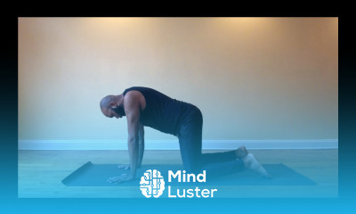 Gentle Yoga Practice for Spinal Movement
