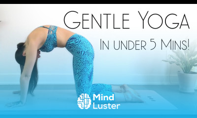 QUICK Gentle Yoga Stretch for Busy People