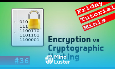 Encryption vs Cryptographic Hash Friday Minis 36