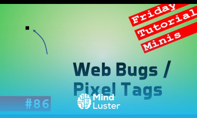 Web Bugs Pixel Tags Friday Minis 86