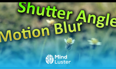 Shutter Angle Motion Blur