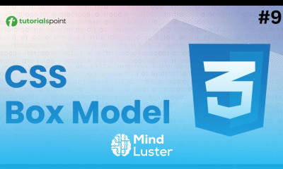 CSS Box Model Box Sizing Google Chrome Developer Tools CSS Course for Beginners