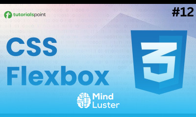 CSS Flexbox CSS Course for Beginners