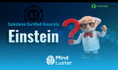 Salesforce Einstein Salesforce Certified Associate Course