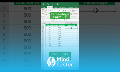 How to calculate PERCENTAGE in excel Percentage Formula shorts excel