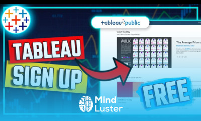 Create Tableau Public Account To Publish Your VIZ FREE Tableau Course 28