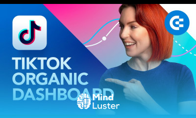 TikTok Organic Dashboard How to Create and When to Use