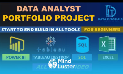 Data Analyst Portfolio Project Complete Project Start to End powerbi sql tableau excel