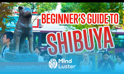 Japan Travel Guide Shibuya