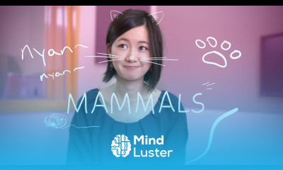 Weekly Japanese Words with Risa Mammals