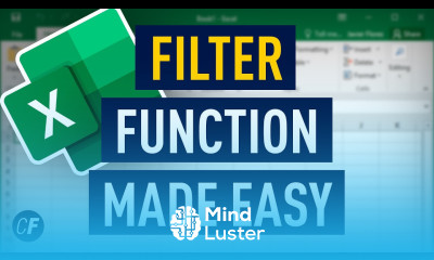 What Is the FILTER Function