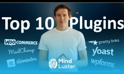 Learn Top 10 WordPress Plugins - Mind Luster
