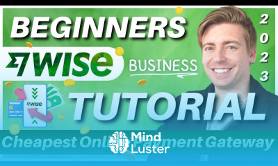 How to use WISE Business Cheapest Online Payment Gateway Wise Tutorial