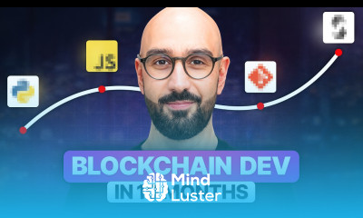 From Zero to Blockchain Developer in 10 Months Complete Roadmap