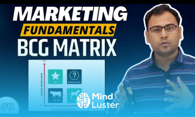 BCG Metrix Explained BCG Metrix in Hindi Marketing Fundamentals Course 15