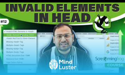 Finding Invalid Elements in Head using Screaming frog Screaming Frog Course 12