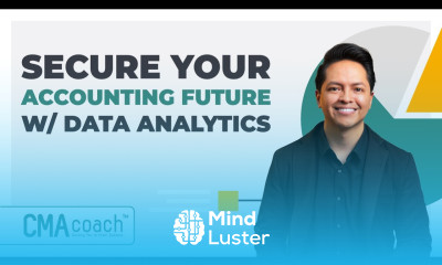 Data Analytics for Accountants Future proof Your Career