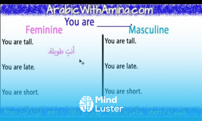 How to Say You are in Arabic Arabic Sentence Structure
