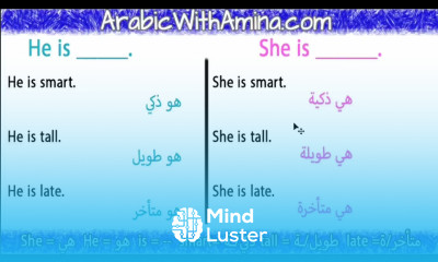 How to Say He She is in Arabic Arabic Sentence Structure
