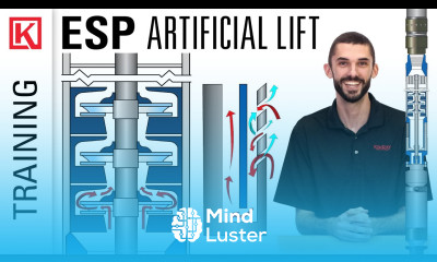 Artificial Lift Electric Submersible Pumps ESP in Oil Gas Systems