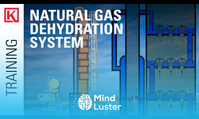 Gas Dehydration System Glycol Regeneration TEG Glycol Pump Reboiler Contact Tower BTEX