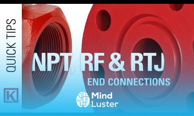 Raised Face Ring Type or NPT Threaded and Flanged Oil Gas Valve End Connection Types