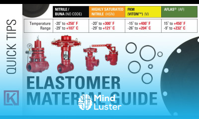 Control Valve Elastomer Rubber Materials for Oil and Gas Nitrile vs HSN vs Viton vs Aflas