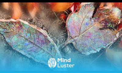 Turning Leaves into Beautiful Resin Bowls Resin Art Tutorial