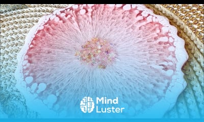 Amazing Web Effect in Resin Coasters