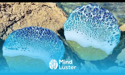 How to Get Beautiful Lacing in Resin Beach Coasters