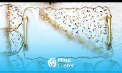 White Gold Flower Resin Tray and Resin Coasters