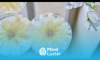 How to Make Gorgeous 3D Flower Resin Coasters