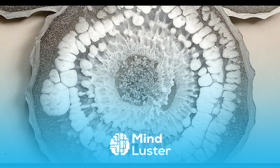 Grey White Geode Resin Coasters