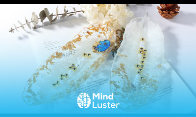 Resin Crafts Resin Casting with Silicone Molds Resin Feather Tray Oval Dish