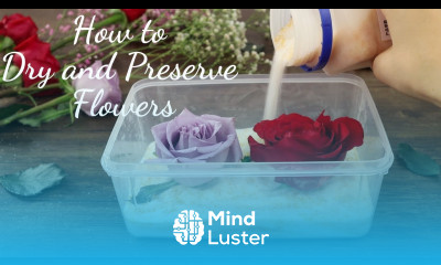 How to Dry and Preserve Flowers DIY Dried Flower in Resin Art