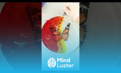 Alcohol Ink Petri Dish  1 2 shorts resin alcoholink epoxy resinart