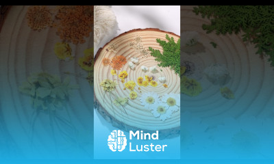 Resin Casting Powders Starter Kit Letsresin com