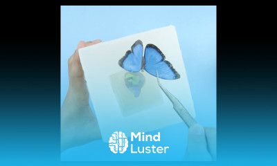 Mold Housing resinart resin diy