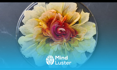 1399 OMG My BEST 3D Resin Flower Coasters