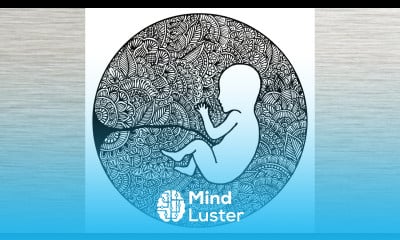 Baby in Womb Drawing Mandala Zentangle Doodle Art